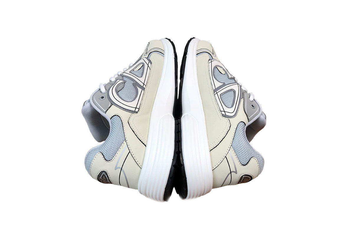 Dior B30 Gray & Biege