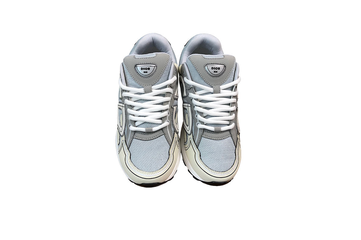Dior B30 Gray & Biege