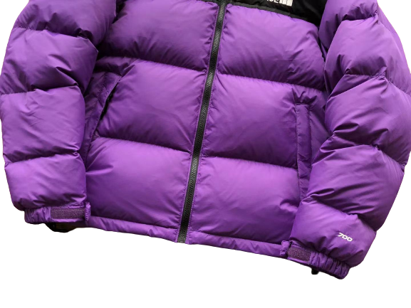 The North Face Violetinė Striukė