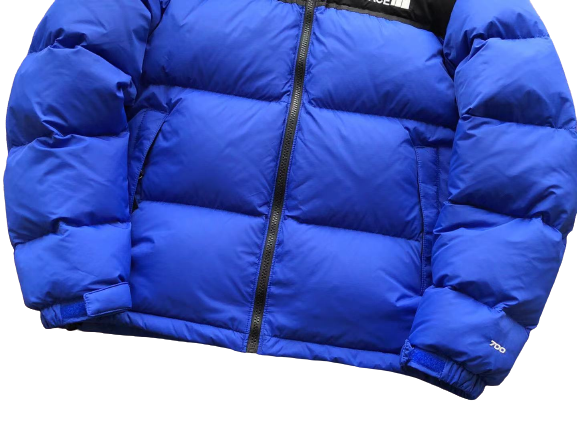 The North Face Mėlyna Striukė