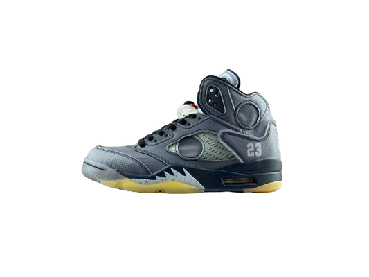 Air Jordan 5 Off-White Muslin