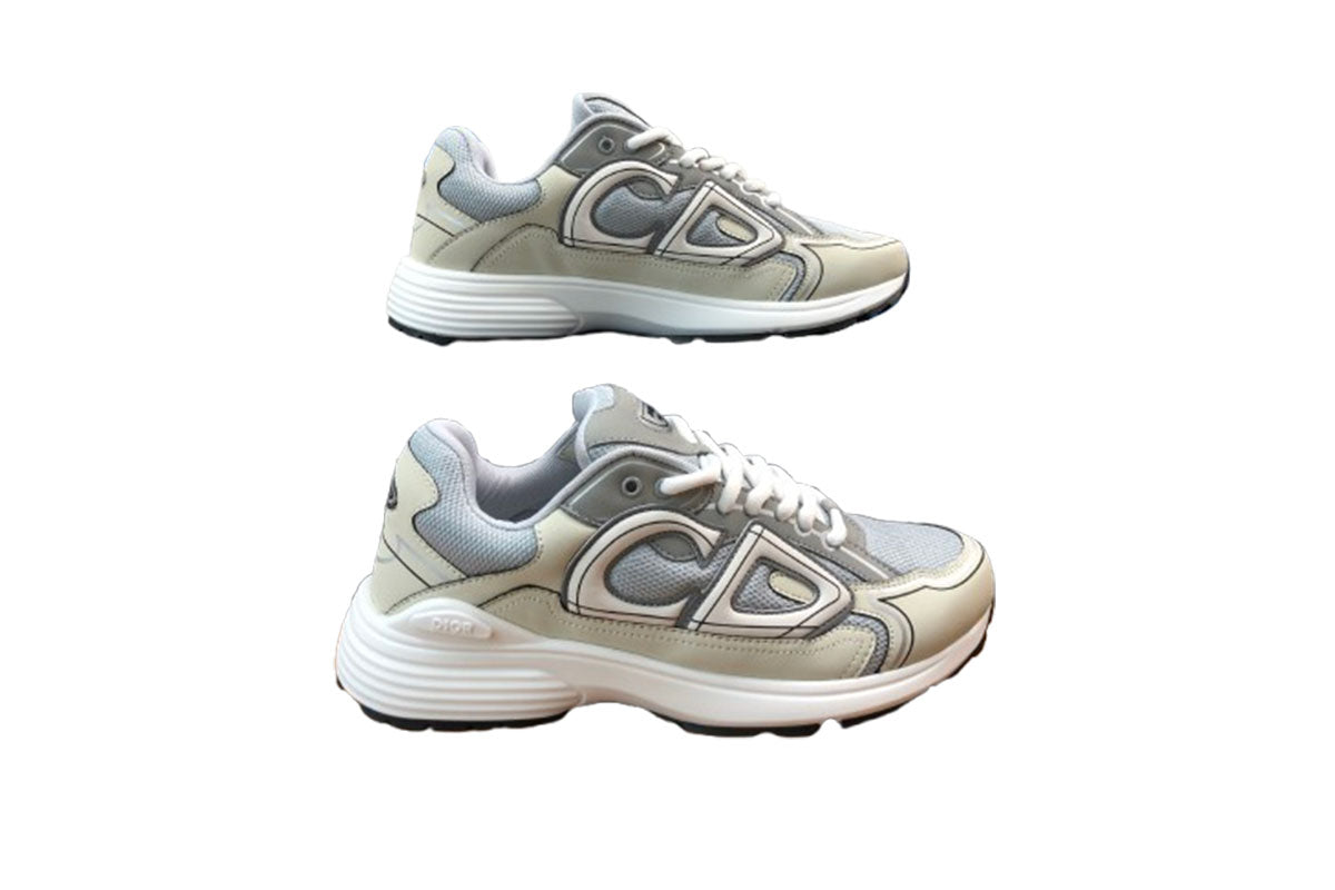 Dior B30 Gray & Biege